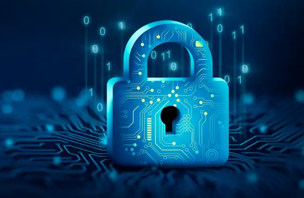 The Future of Offshore Outsourcing Systems